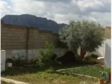 Finca rústica en  Calle Fuensanta 8 - Foto 4