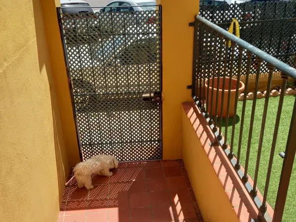 Chalet adosado en Calle de la Cordera, 45, Montemar, Montemar - Foto 5