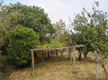 Finca rústica en  Lugar Igrexa 20 - Foto 9