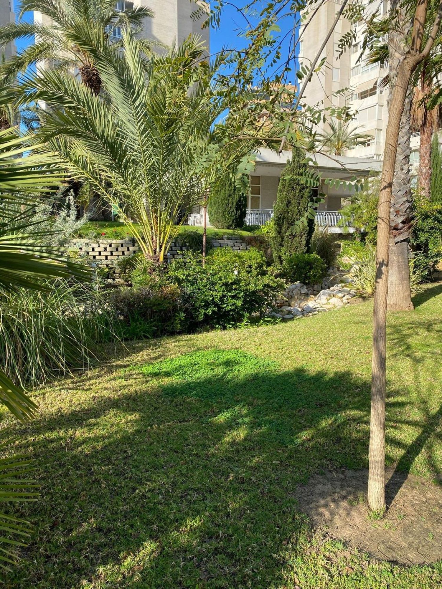 Piso en Avenida de la Costa Blanca, Cabo de las Huertas - Foto 5