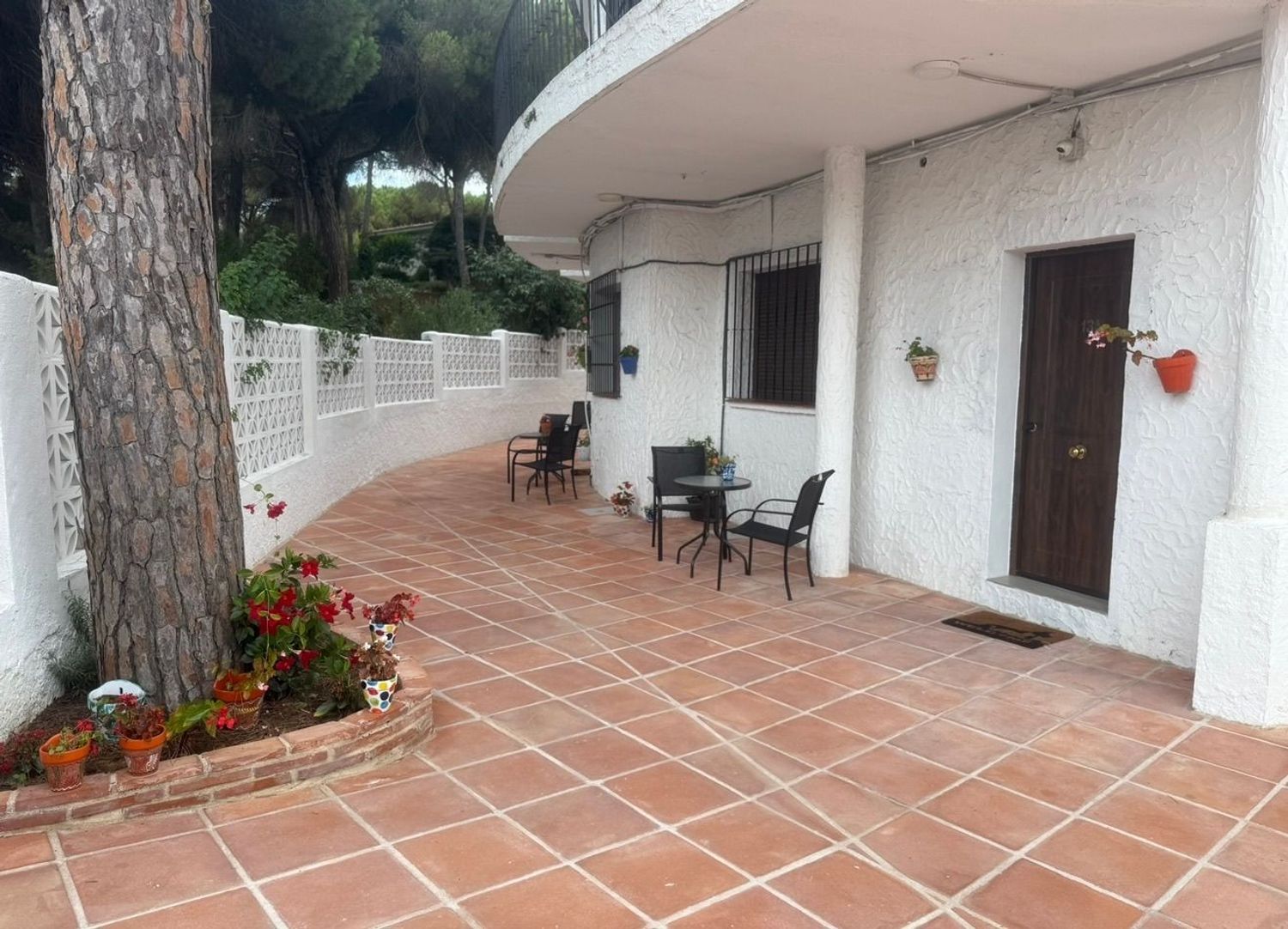 Estudio en Avenida Concha Nácar, 1, Romana Playa - Foto 2