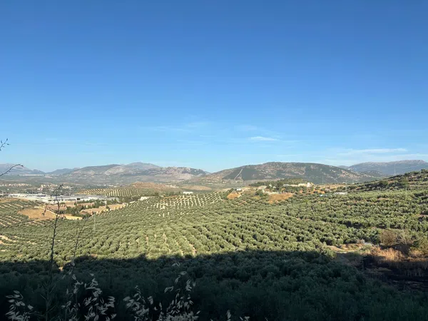 Chalet adosado en Ronda de la Misericordia, 43, Belén - San Roque - Foto 1