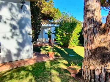Chalet en  Calle Abeto 18 - Foto 18