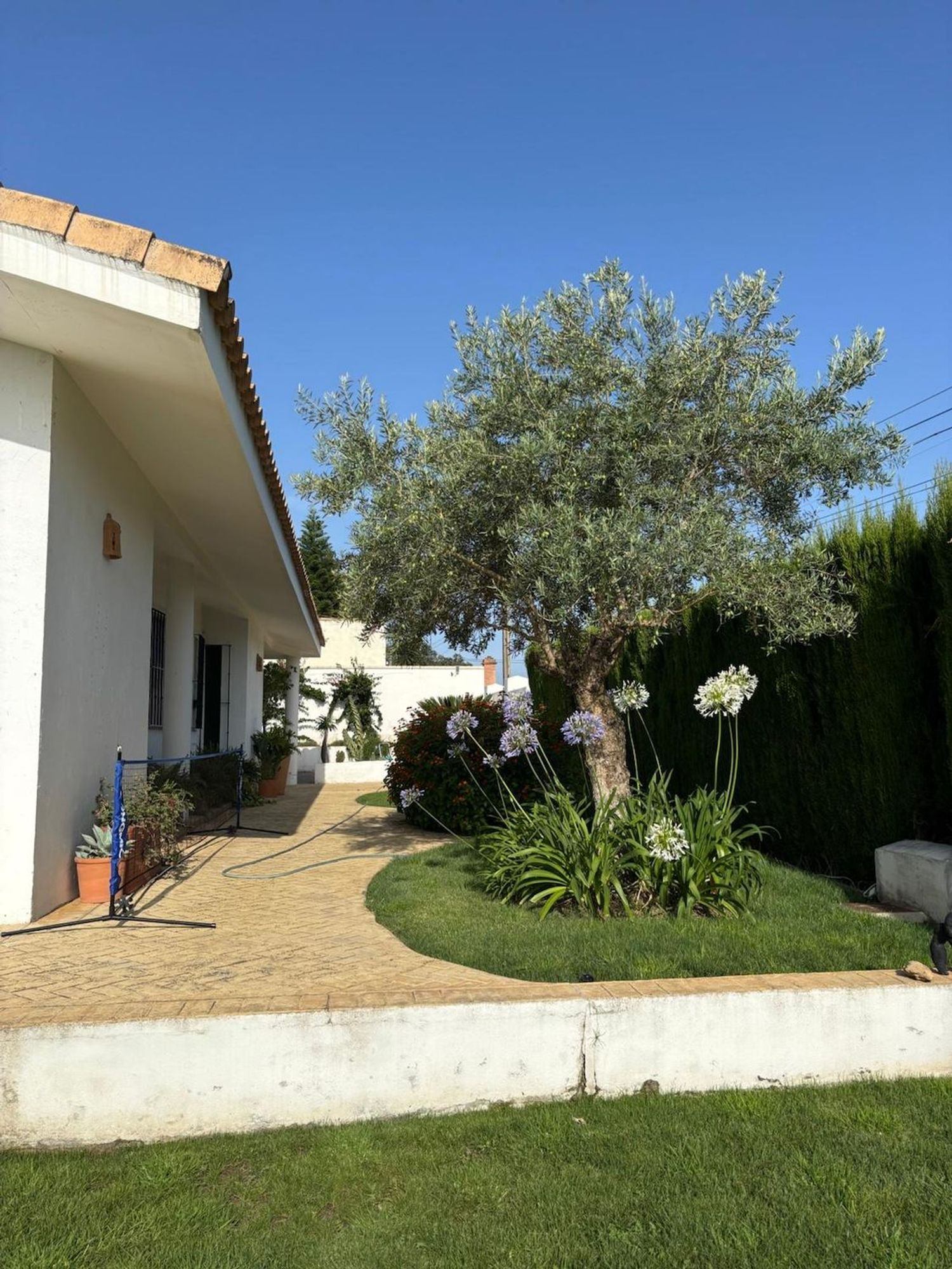 Casa o chalet independiente en Gerena - Foto 11