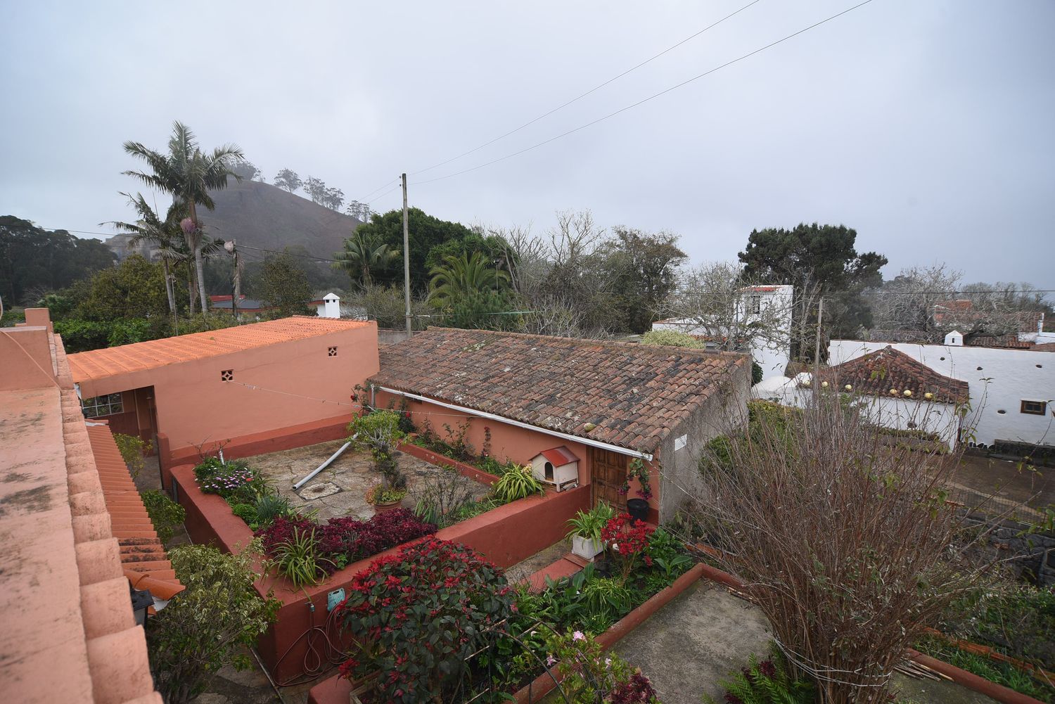 Casa terrera en Calle la Caridad, 1, Tacoronte - Los Naranjeros, Tacoronte - Los Naranjeros - Foto 21