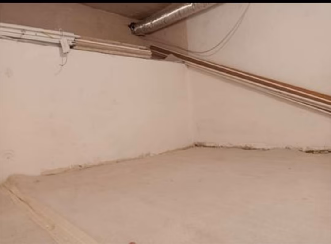 Planta baja en  Calle Violeta 17 - Foto 8