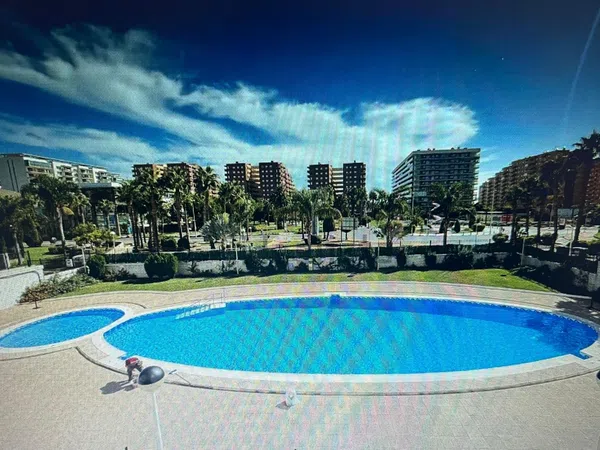 Piso en Avenida Central, 10, Marina Trebol - Neptuno - Foto 14