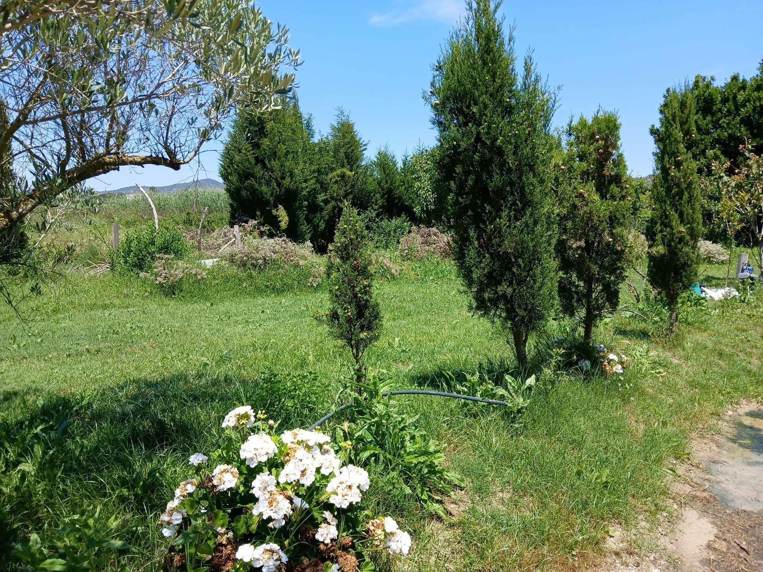 Masía en Masía en Camino salva-aigües, 96, Urbanizaciones, Urbanizaciones - Foto 22