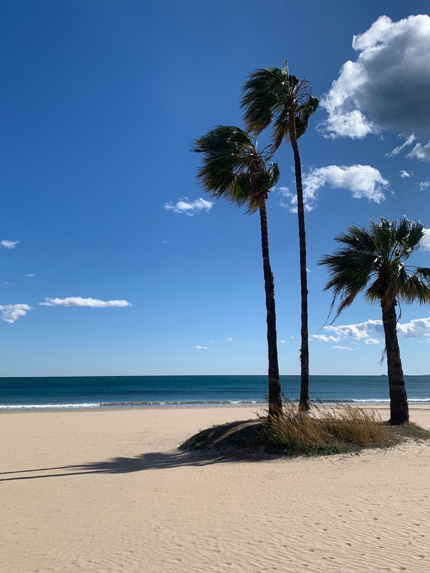 Chalet adosado en Playa de los Náufragos, Playa de los Náufragos - Foto 36