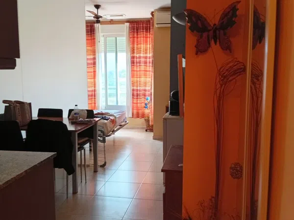 Estudio en Avenida de la Llibertat, 49, Zona Pueblo, Zona Pueblo - Foto 5