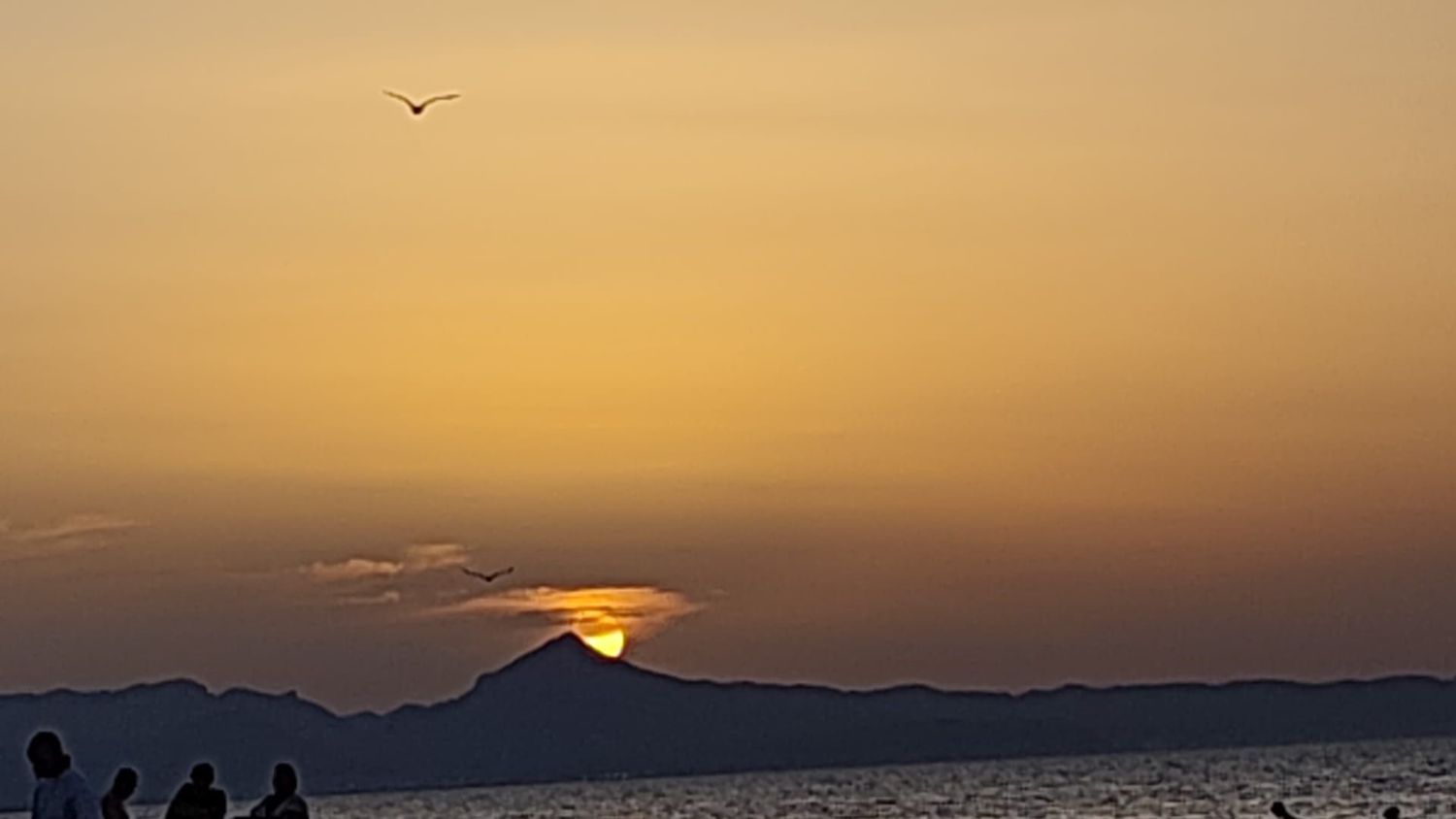 Piso en Camino Assagador del Palmar, 29, El Palmar-Los Molinos - Foto 14