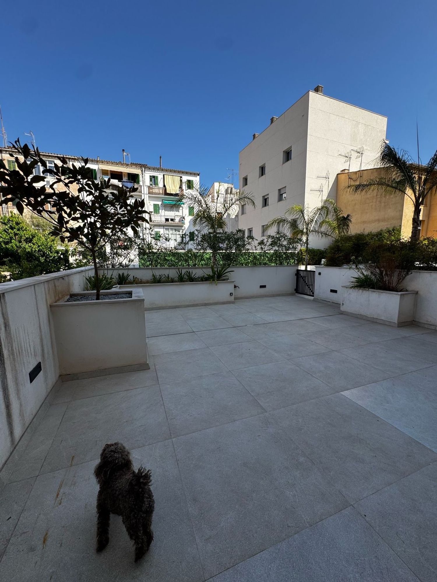 Piso en Calle de la Reina Maria Cristina, 60 - Foto 14