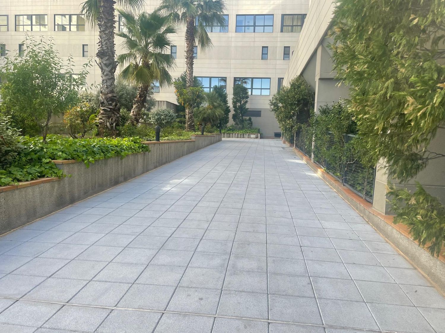 Piso en Avenida de la Constitución, 85 - Foto 2