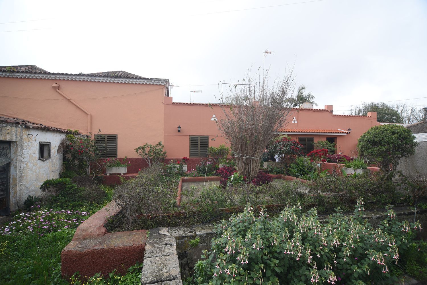 Casa terrera en Calle la Caridad, 1, Tacoronte - Los Naranjeros, Tacoronte - Los Naranjeros - Foto 15