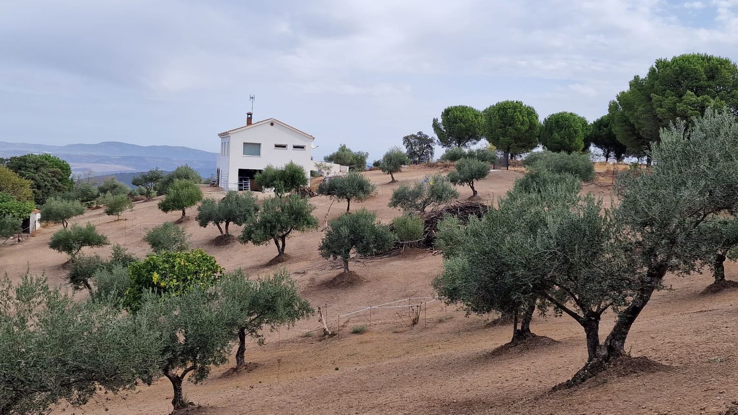 Casa rural en Diseminados, 22 - Foto 4