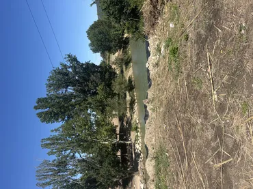 Finca rústica en  Paraje Puente del Rio Segura 79 - Foto 12
