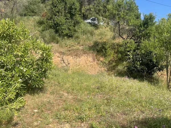 Finca rústica en Camino de Alozaina, 10 - Foto 6