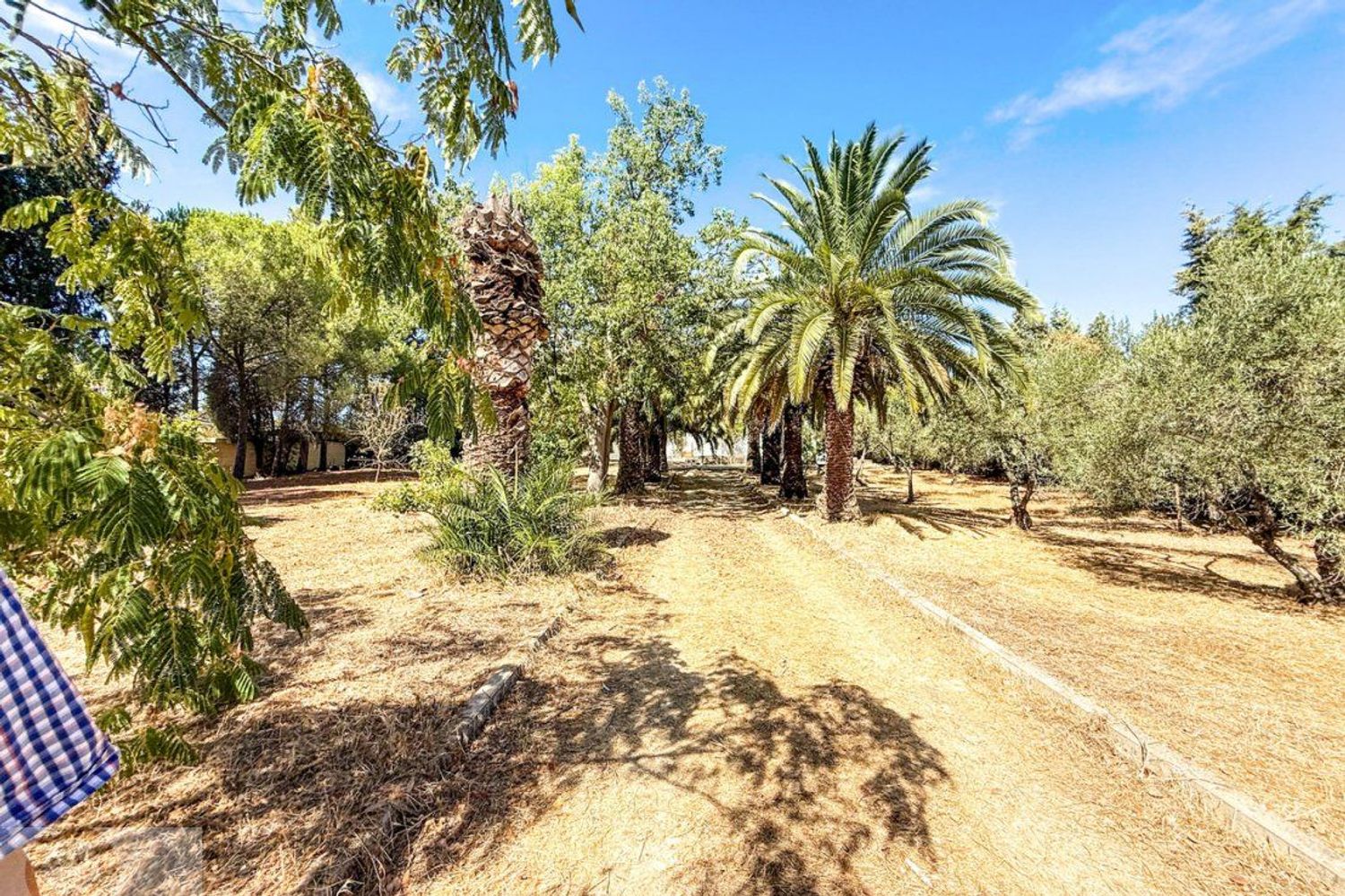 Finca rústica en Candon s/n - Foto 22