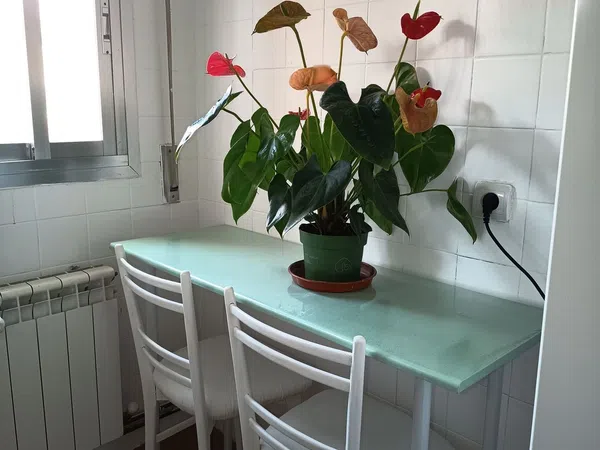 Piso en calle General Moscardó Guzmán, 8 - Foto 13