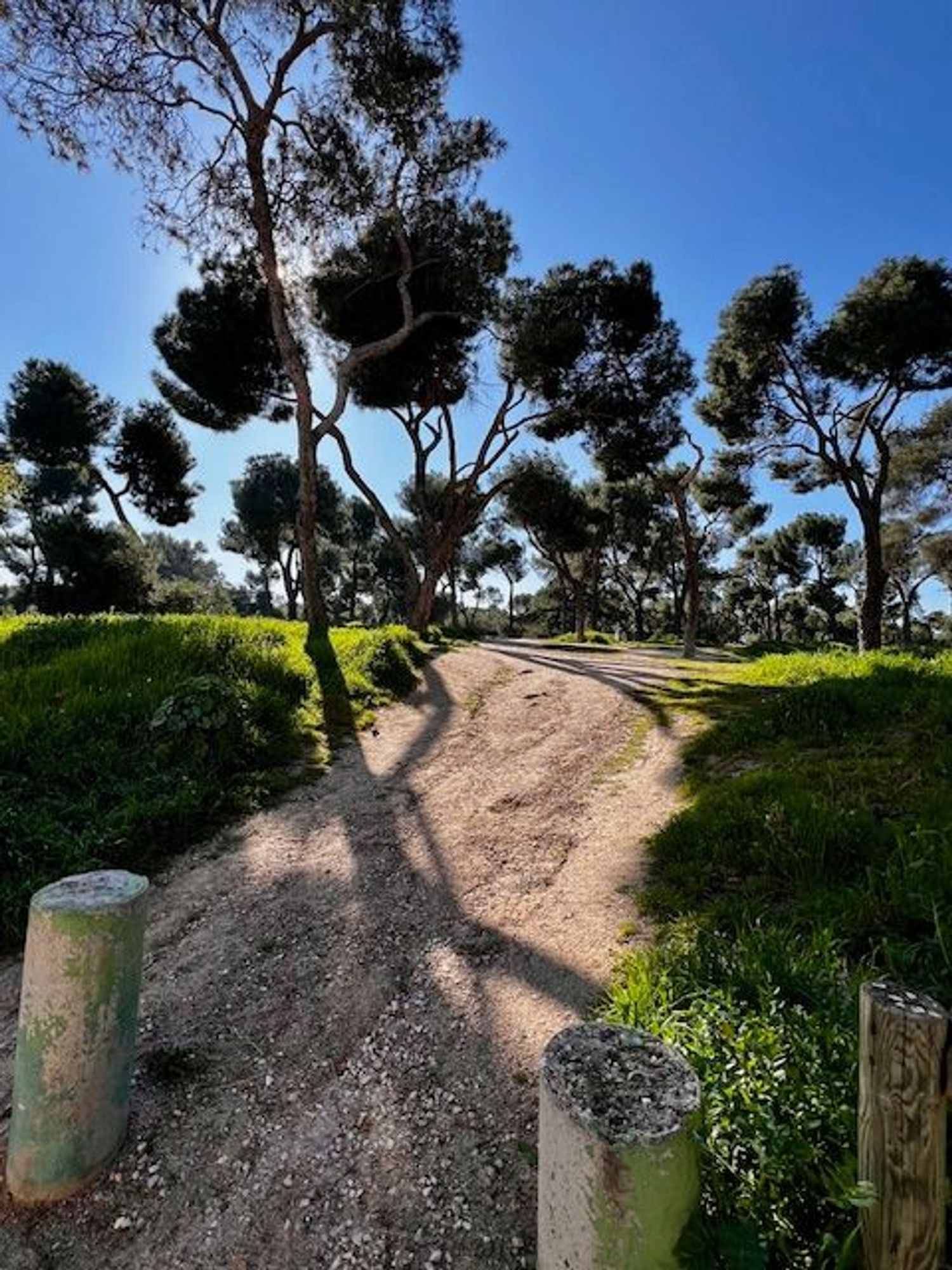 Piso en calle Aviador Franco, 12 - Foto 20