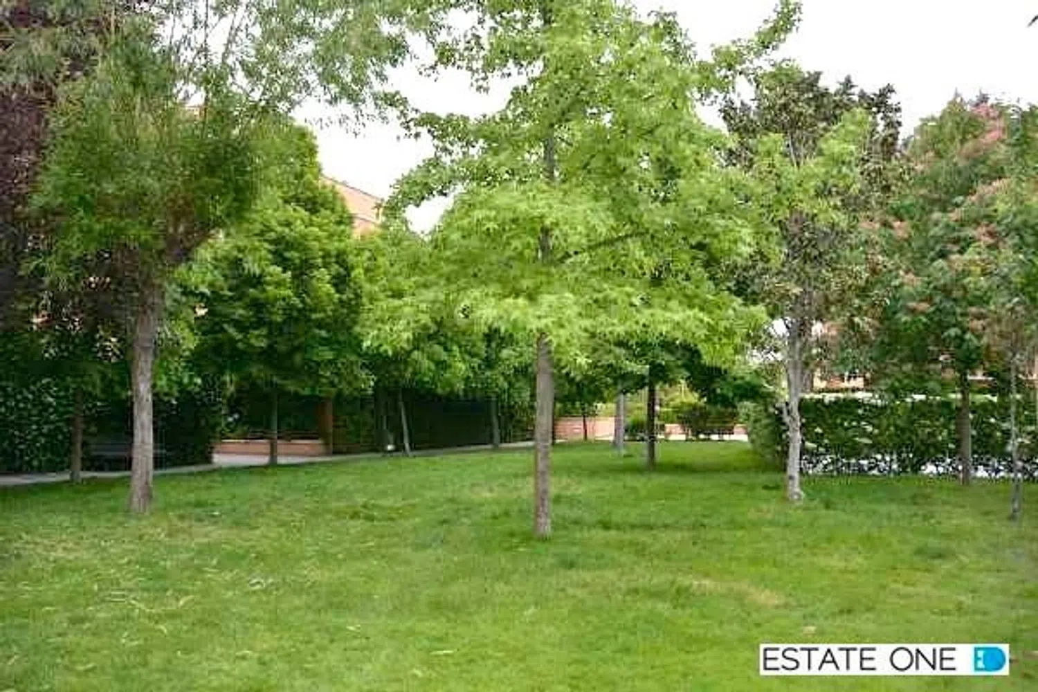 Dúplex en camino de la Zarzuela - Foto 32