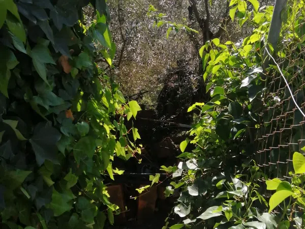 Casa rural en Barriada Don Ramón, 19, Diseminados - Foto 19