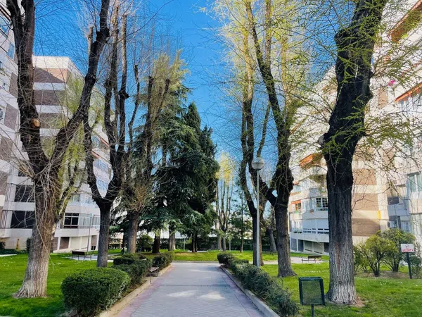 Piso en calle de Javier del Quinto, 6