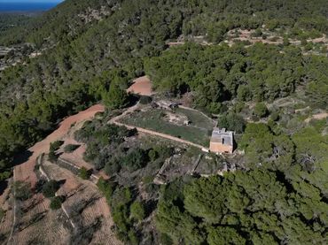 Finca rústica en  Diseminado Ses Paisses 248 - Foto 3