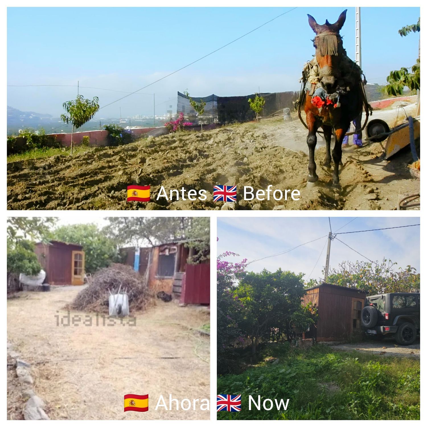 Casa rural en Diseminado Bco Itrabo Pol 25, 131 - Foto 21
