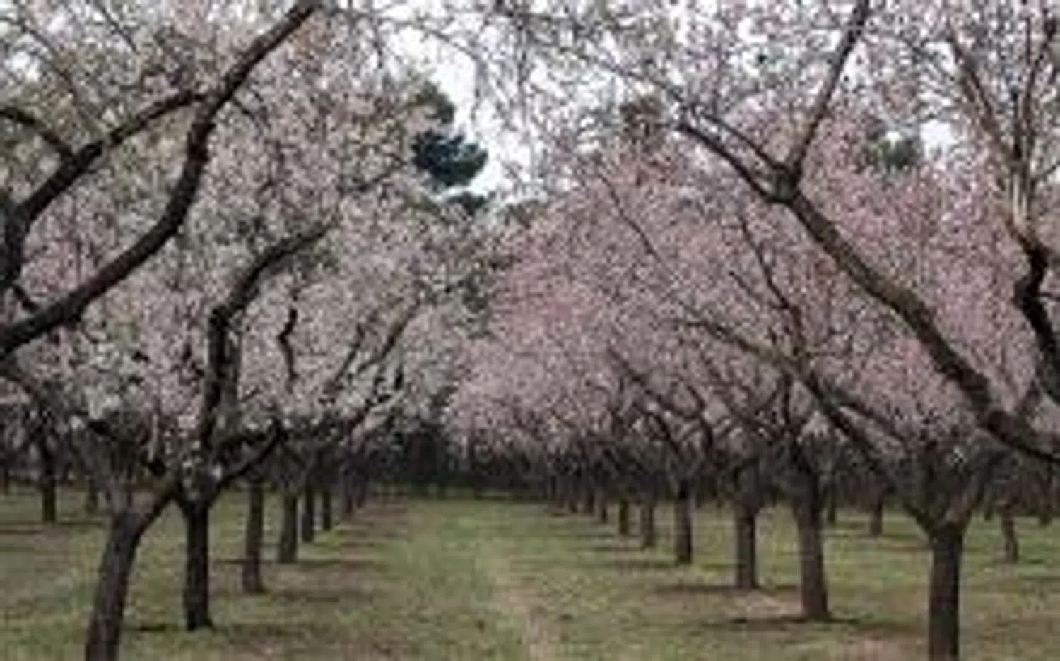 Piso en calle Tampico, 8 - Foto 3