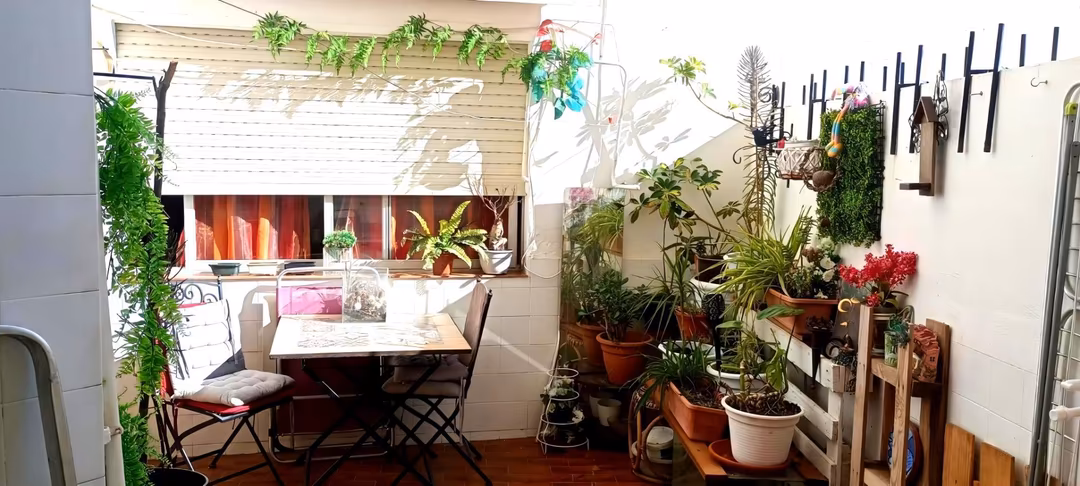 Piso en  Avenida del Padre Esplá 8 - Foto 5