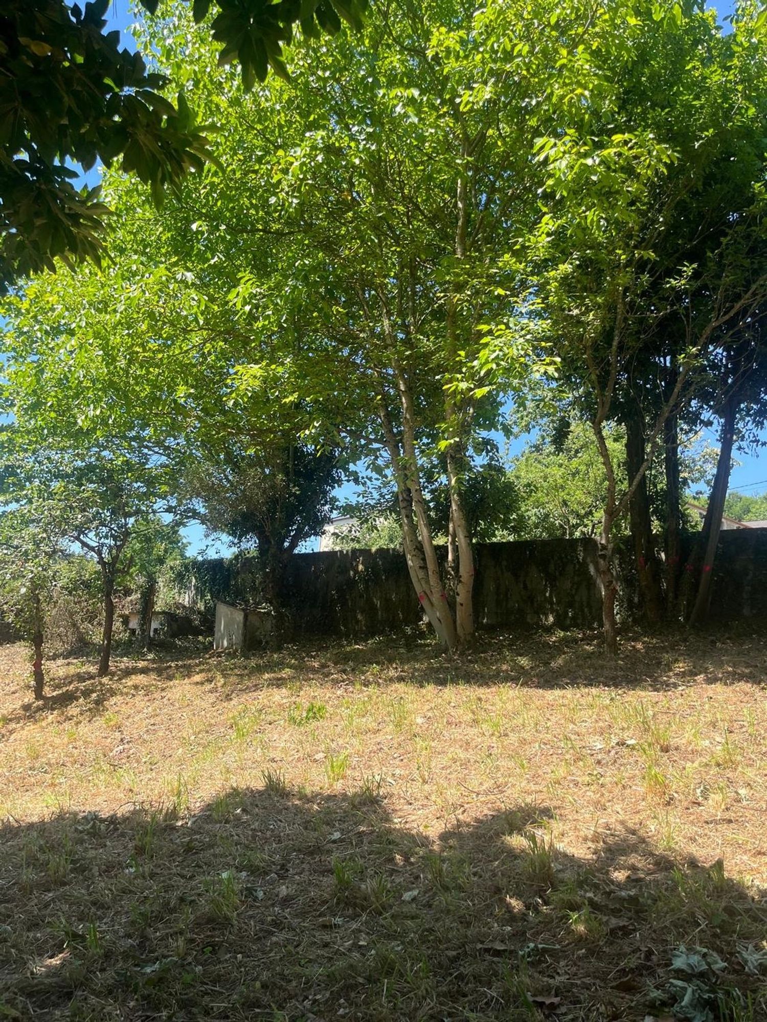 Finca rústica en Suelo polígono 149, 84, O Carme - Recatelo, O Carme - Recatelo - Foto 2
