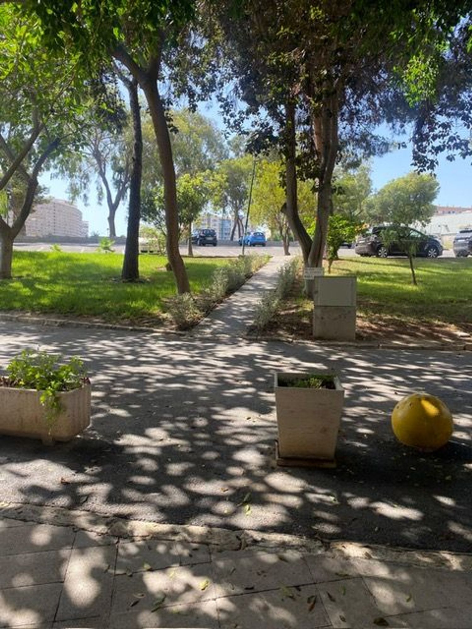 Piso en Avenida de les Nacions, 11, Playa de San Juan - Foto 33