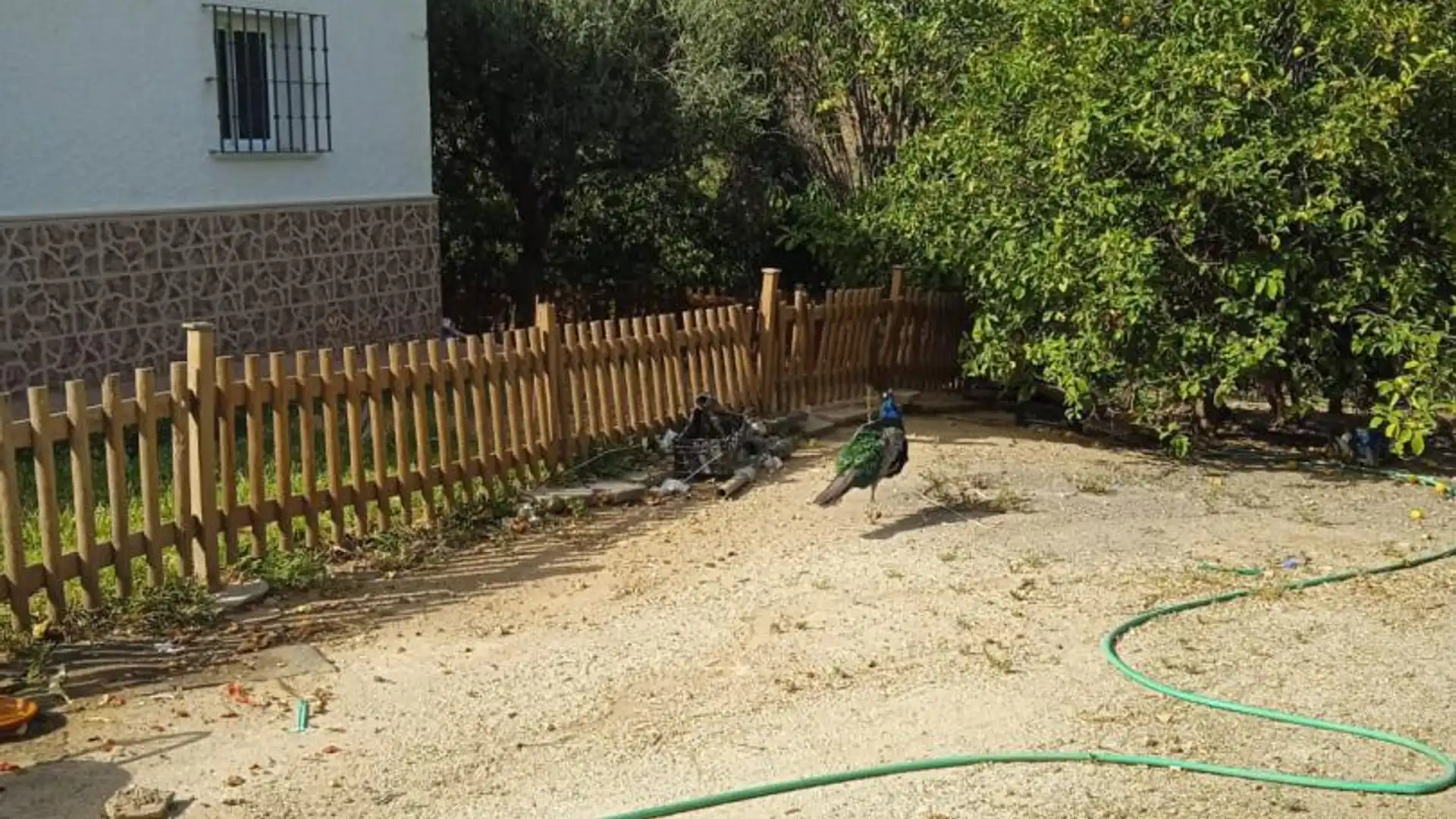 Finca rústica en  Calle Atlántida 242 - Foto 6