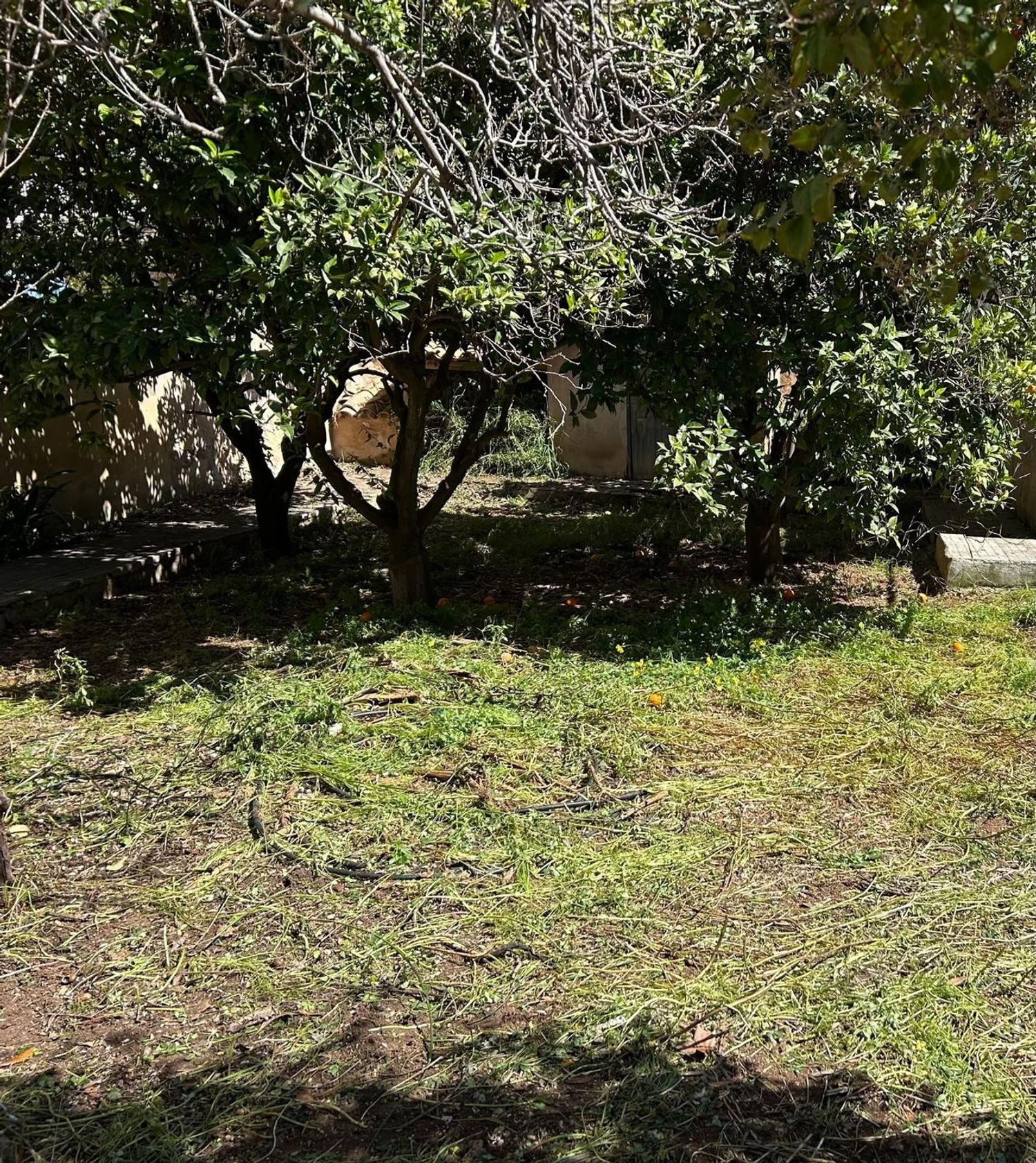 Casa o chalet independiente en Plaça de Toros - Foto 6