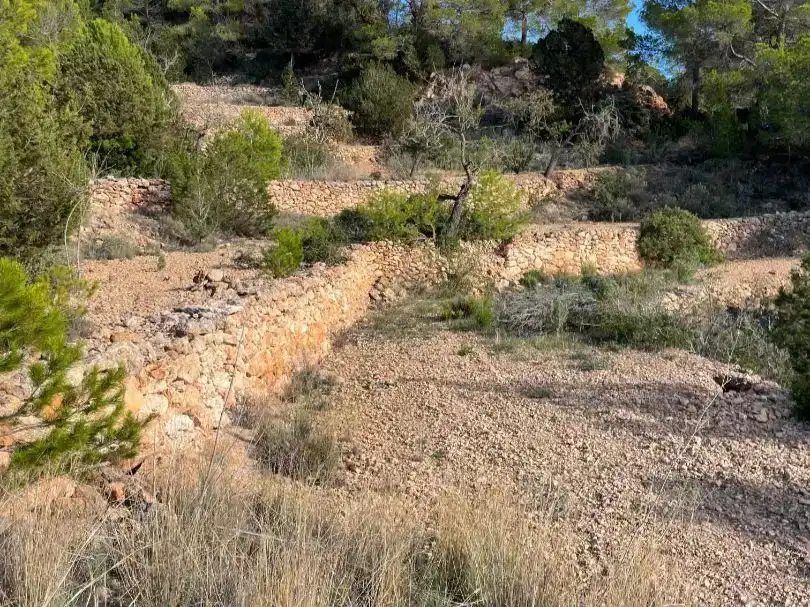 Finca rústica en  Diseminado Ses Paisses 248 - Foto 25