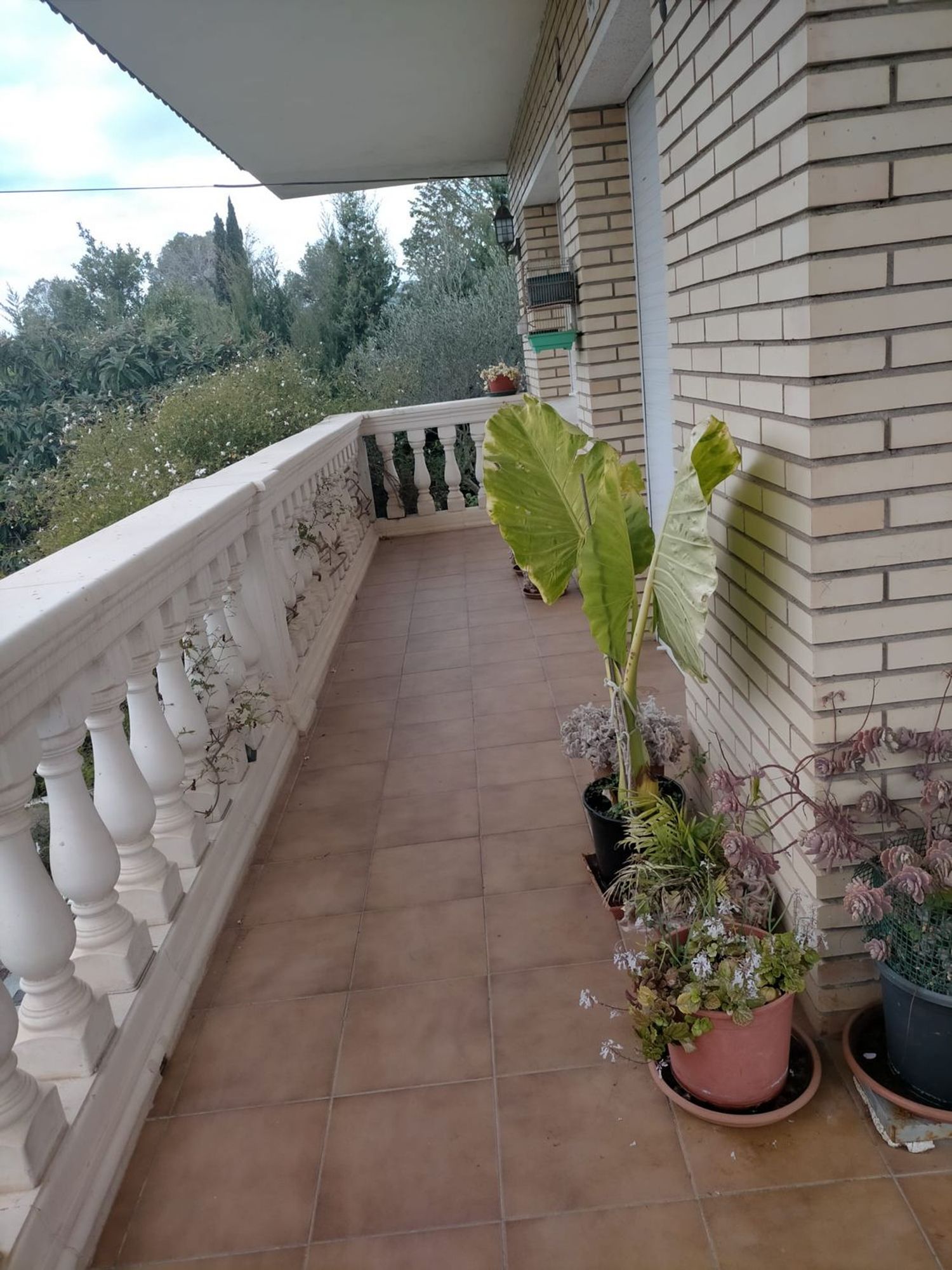 Casa o chalet independiente en Guillermo Baurel, 100 - Foto 4