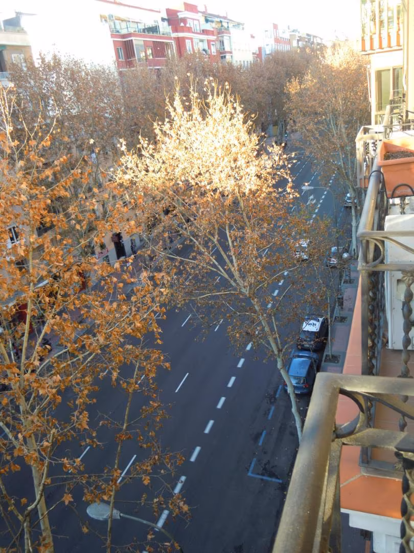 Piso en  Paseo de las Delicias 85 - Foto 3