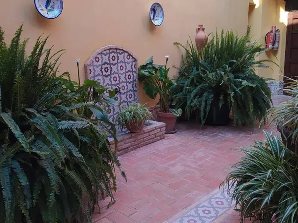 Casa o chalet independiente en Calle Rui-López, 1 - Foto 17