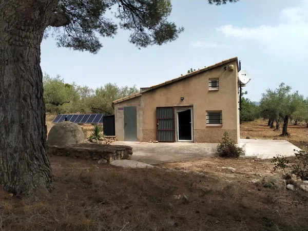 Finca rústica en Partida El Parracoll s/n - Foto 1