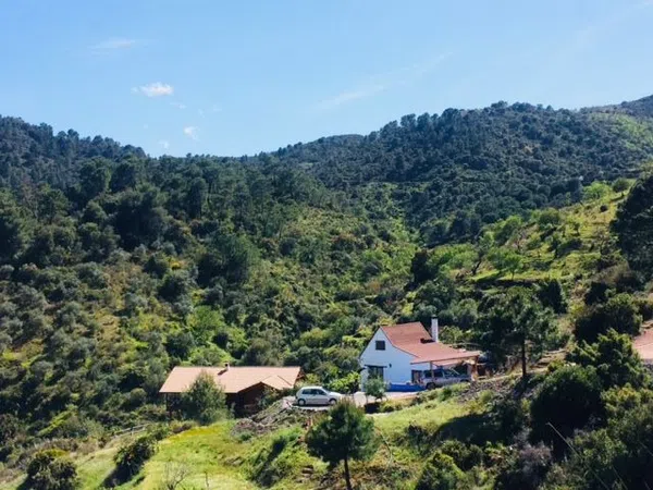 Finca rústica en Camino de Istán s/n - Foto 2