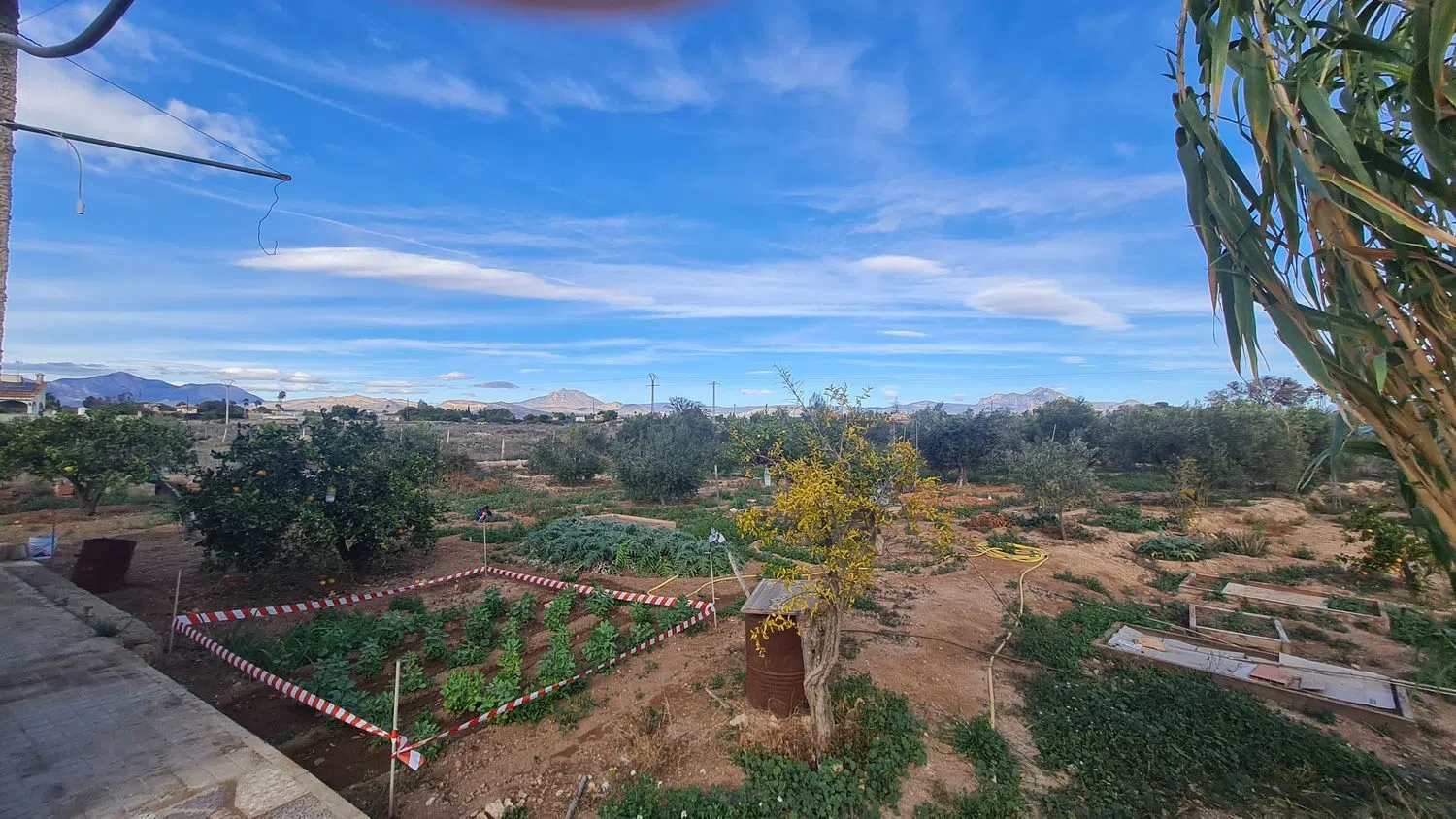 Casa independiente en camino de Terol, 33 - Foto 2