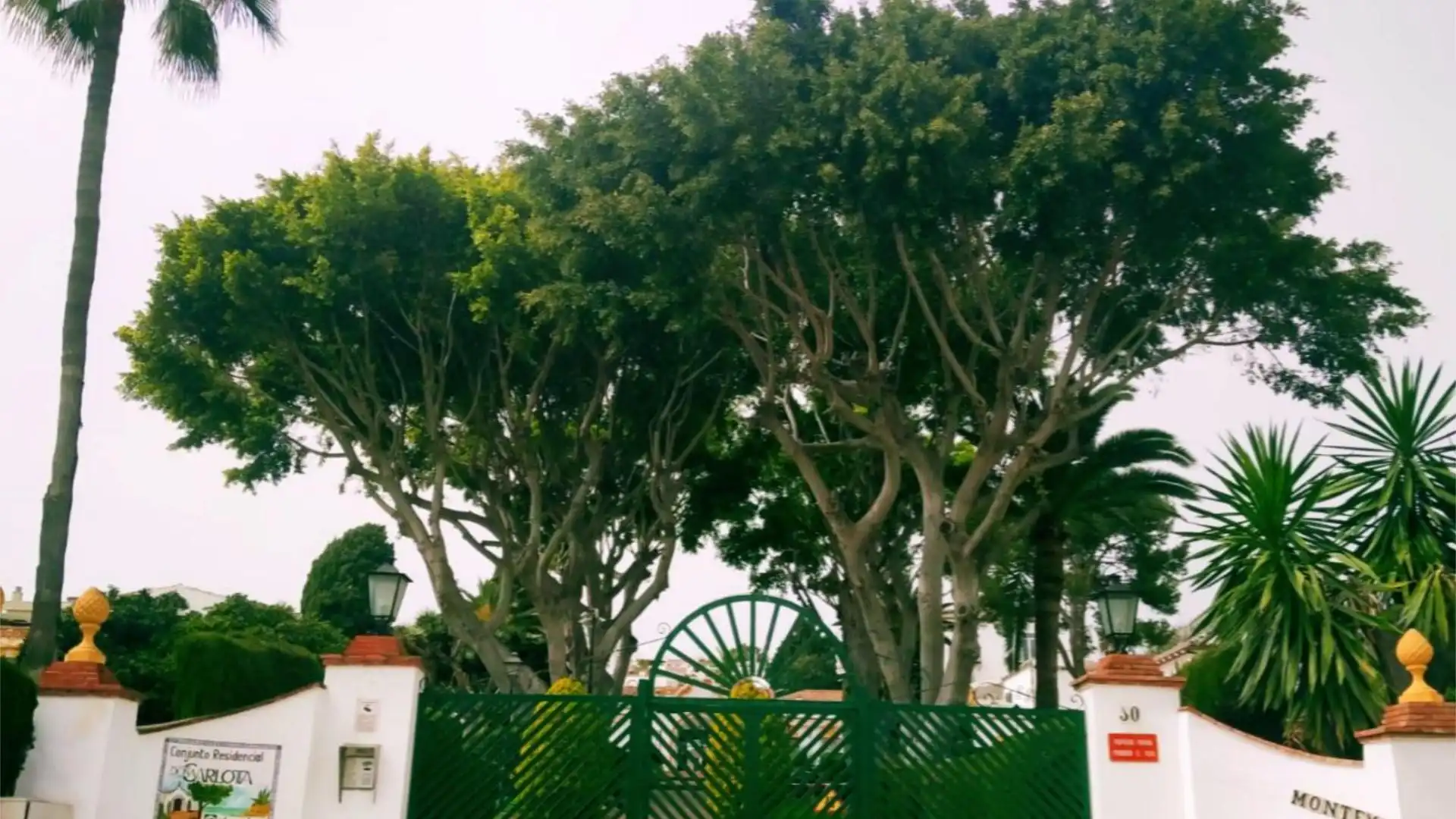 Piso en  Calle Don Juan Manuel 10 - Foto 23