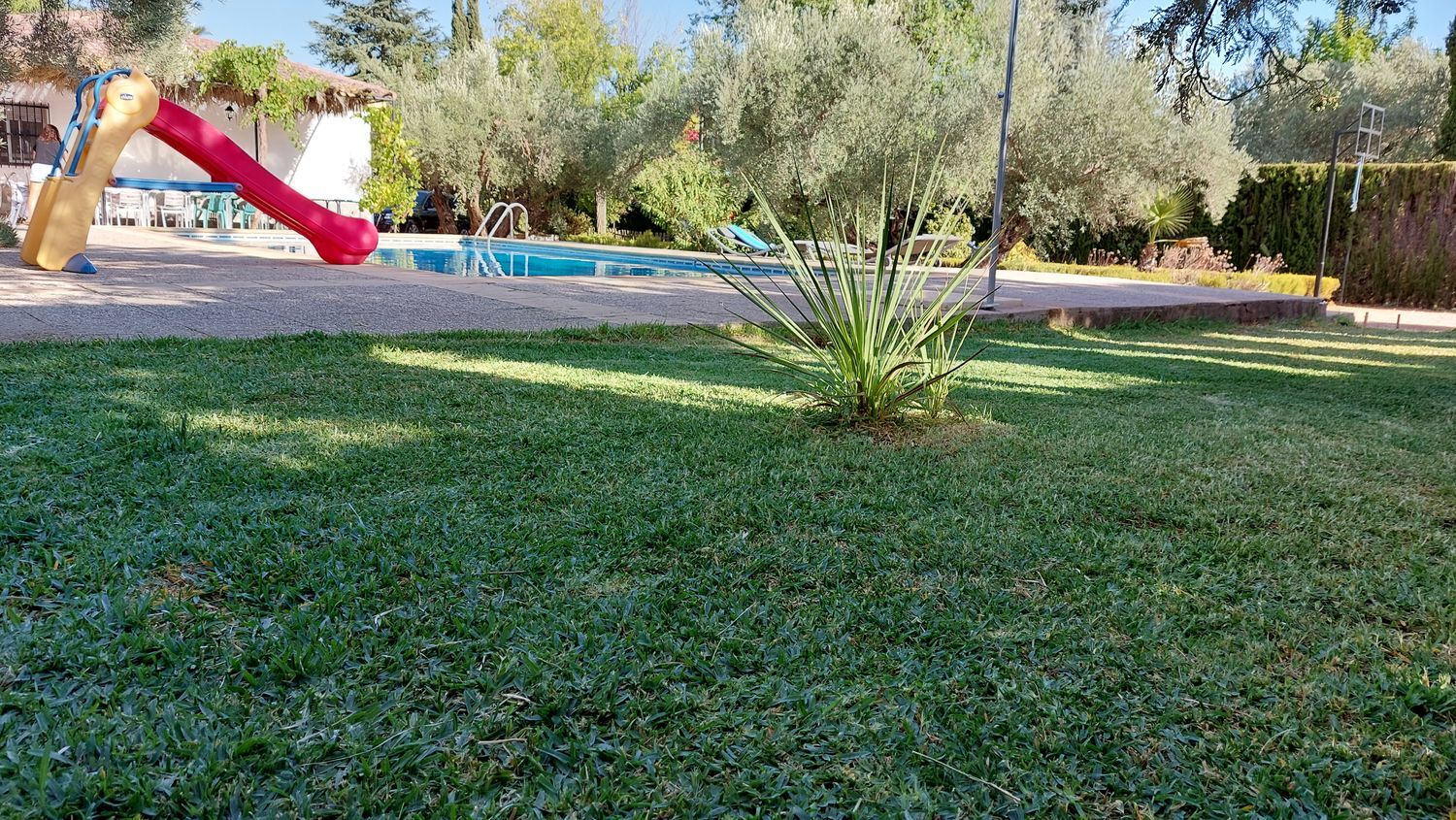Casa independiente en avenida Paraiso, 18 - Foto 6