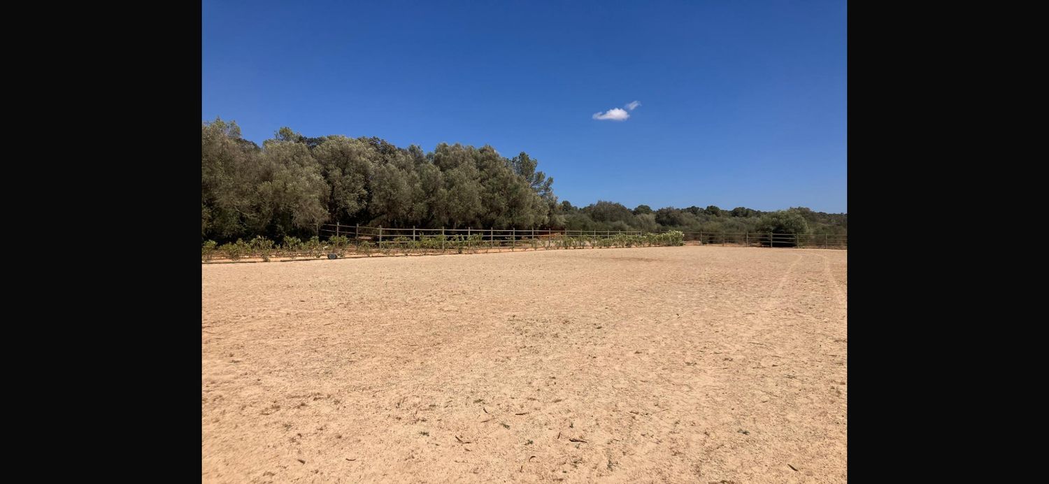 Finca rústica en Diseminado Son Xorc, 426 - Foto 37