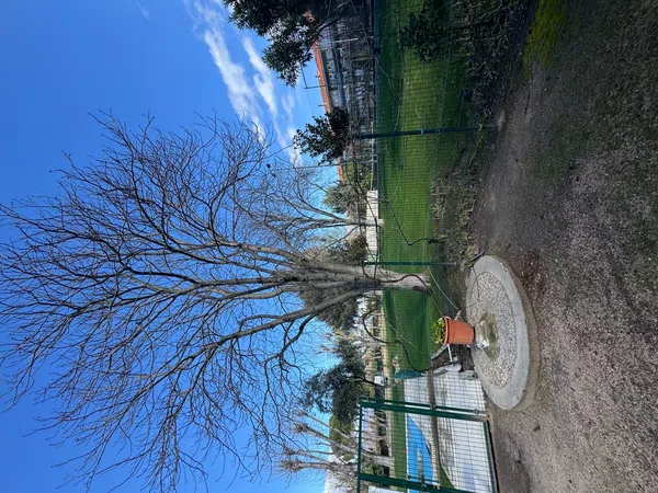 Piso en Calle Isla de Sálvora, 4, Parque de la Coruña - Las Suertes, Parque de la Coruña - Las Suertes - Foto 10