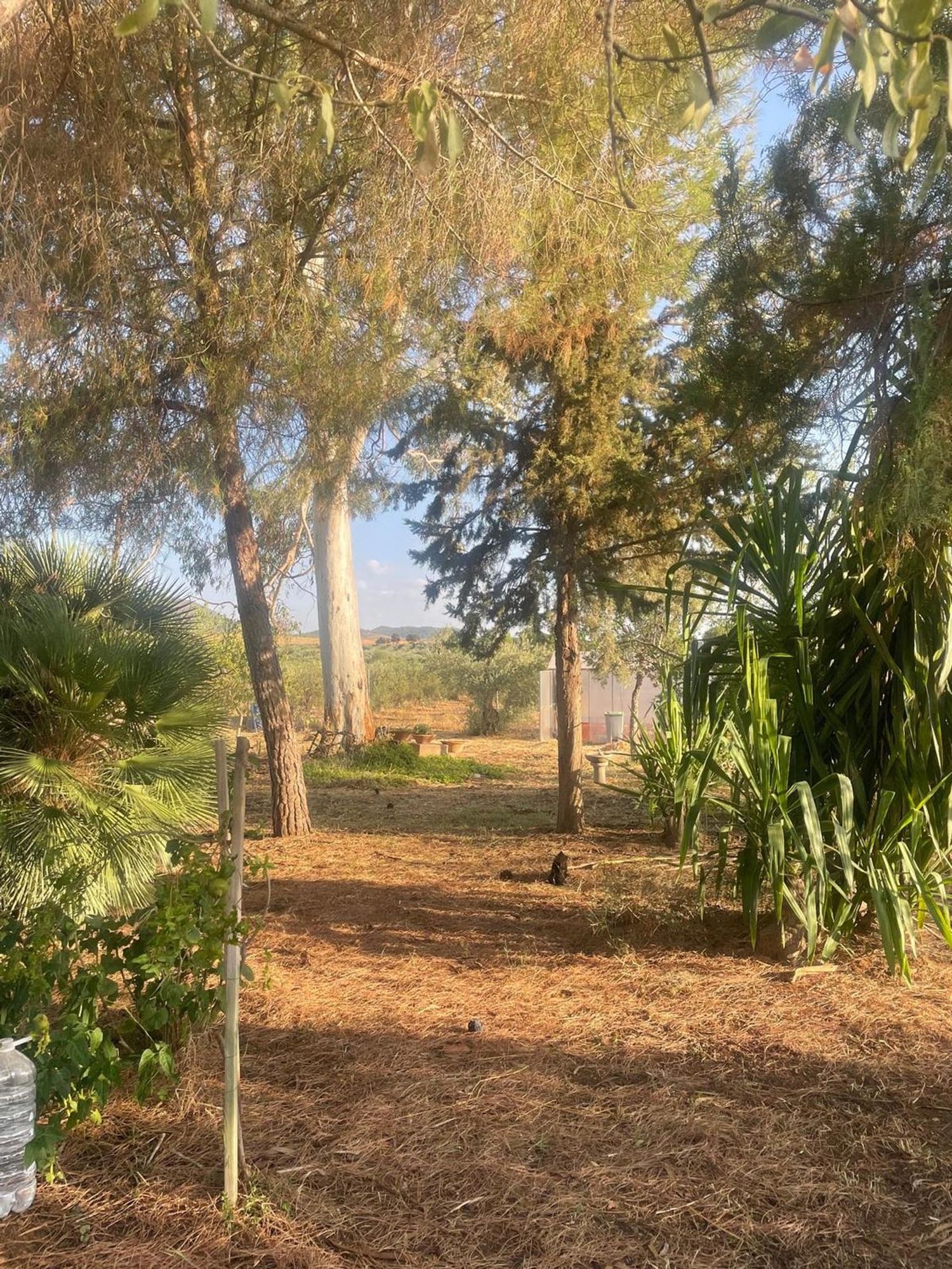 Cortijo en Ex-107 s/n - Foto 26