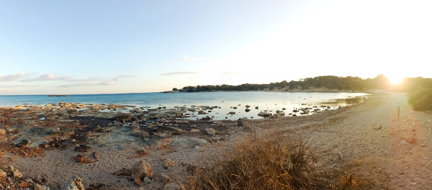 Casa independiente en S'Estanyol - Foto 24