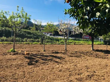 Terreno Residencial en  Estrada Rebordáns 2 - Foto 3