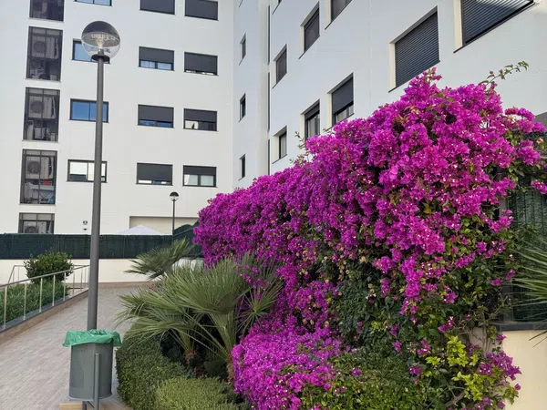 Piso en Calle d'Àngel Guimerà, 84, L'Olivera - Amanecer - Foto 3